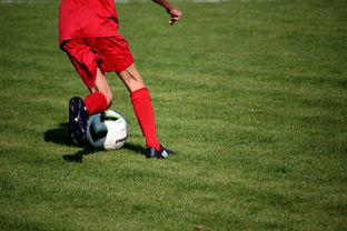 爱游戏体育入口-内线球员在快节奏体系下的功能性演变，内线球员的主要作用